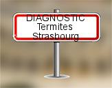 Diagnostic Termite AC Environnement à Strasbourg